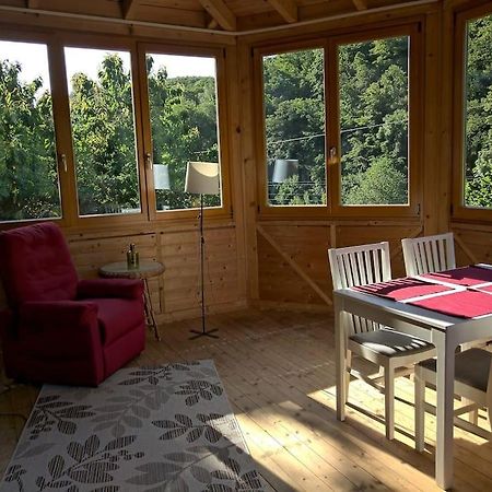 Idyllische Ferienwohnung In Zentrumsnaehe Dresden Dış mekan fotoğraf