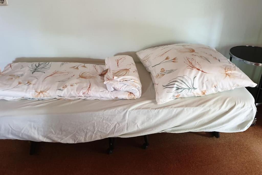 Idyllische Ferienwohnung In Zentrumsnaehe Dresden Dış mekan fotoğraf