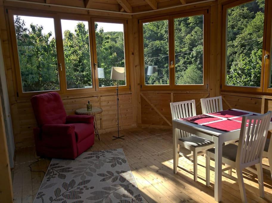Idyllische Ferienwohnung In Zentrumsnaehe Dresden Dış mekan fotoğraf