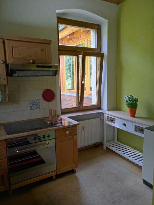 Idyllische Ferienwohnung In Zentrumsnaehe Dresden Dış mekan fotoğraf
