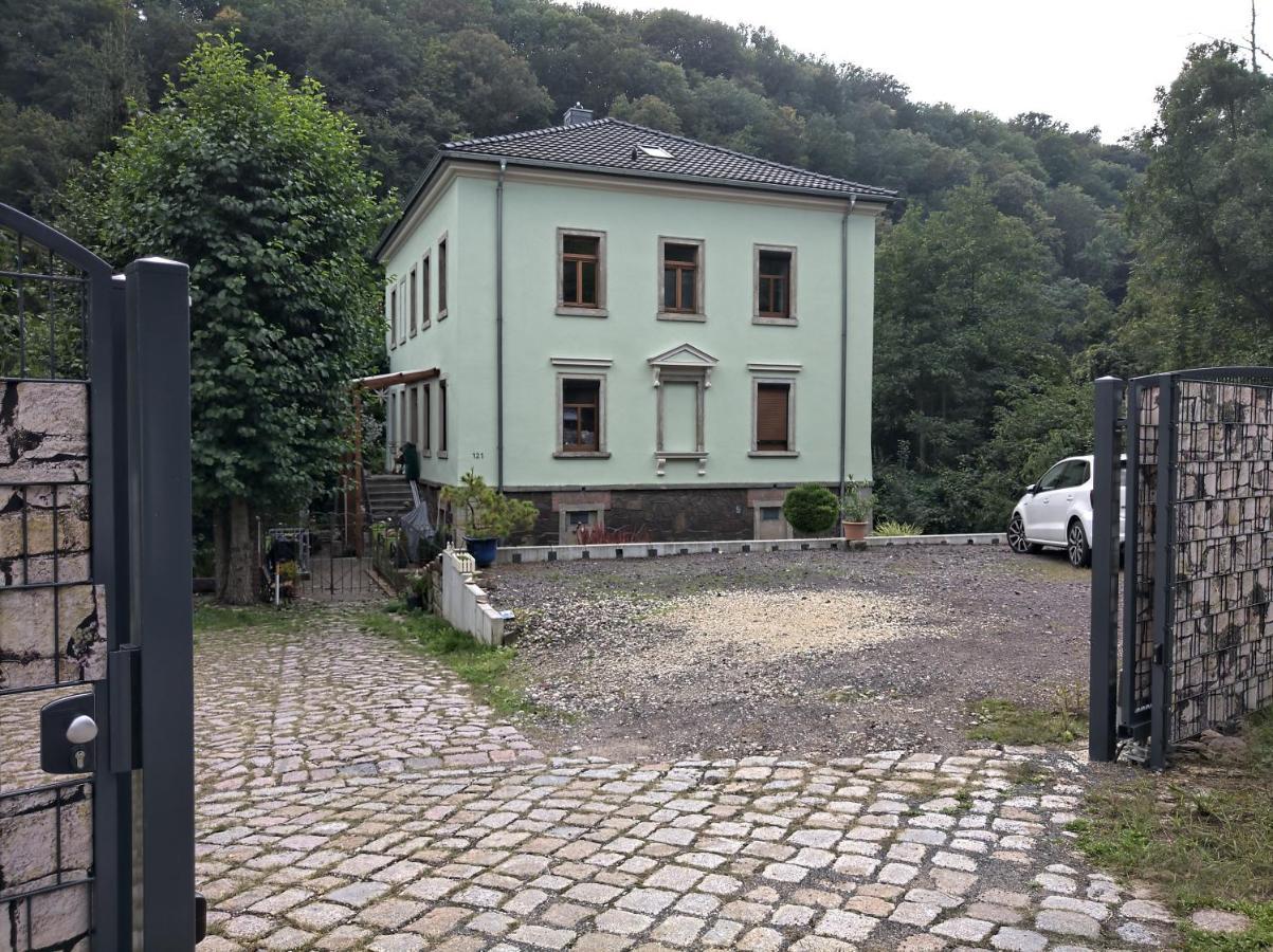 Idyllische Ferienwohnung In Zentrumsnaehe Dresden Dış mekan fotoğraf